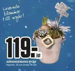 ÖoB ARRANGEMANG NYÅR erbjuda