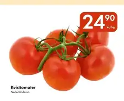 Snabbgross Kvisttomater erbjuda