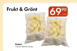 Snabbgross Potatis erbjuda