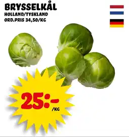 Nelins Brysselkål erbjuda
