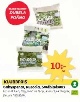 Babyspenat, Ruccola, Småbladsmix