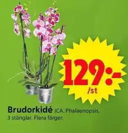 ICA Supermarket Brudorkidé erbjuda
