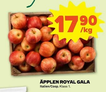 Coop Forum Äpplen royal gala erbjuda