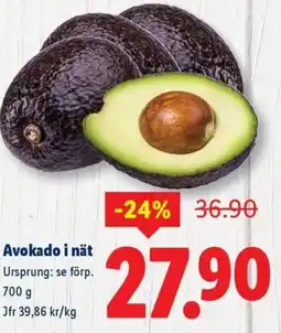 Lidl Avokado i nät erbjuda