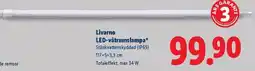 Lidl Livarno LED-våtrumslampa erbjuda