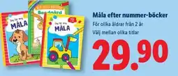 Lidl Måla efter nummer-böcker erbjuda