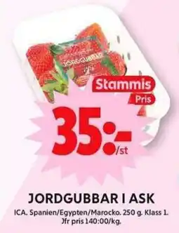 ICA Maxi Jordgubbar i ask erbjuda