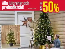 ÖoB Alla julgranar och prydnadsträd! erbjuda