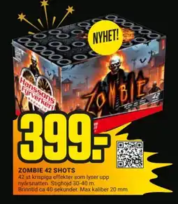 ÖoB ZOMBIE 42 Shots erbjuda