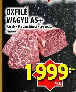 Matvärlden Tensta OXFILÉ WAGYU A5+ erbjuda