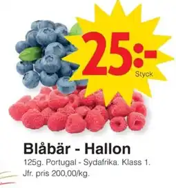 Matöppet Blåbär - hallon erbjuda