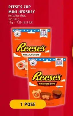 Scandinavian Park REESE'S Cup mini hershey erbjuda