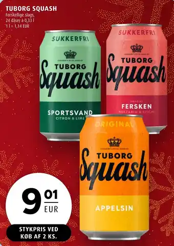 Scandinavian Park TUBORG Squash erbjuda