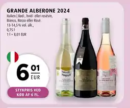 Scandinavian Park Grande alberone 2024 erbjuda