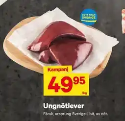 City Gross Ungnötlever erbjuda