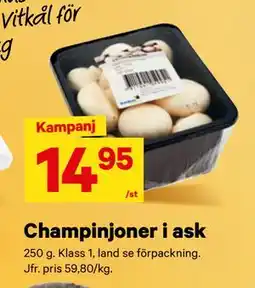 City Gross Champinjoner i ask erbjuda