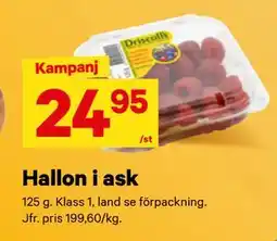 City Gross Hallon i ask erbjuda