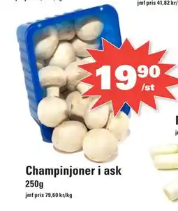 Nära dej Champinjoner i ask erbjuda