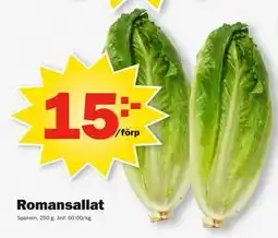 Pekås Romansallat erbjuda