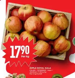 Willys ÄPPLE ROYAL GALA erbjuda