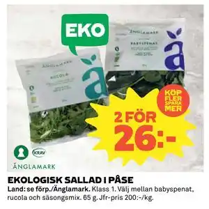EKOLOGISK SALLAD I PÅSE