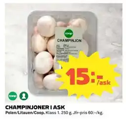 Coop Daglivs CHAMPINJONER I ASK erbjuda