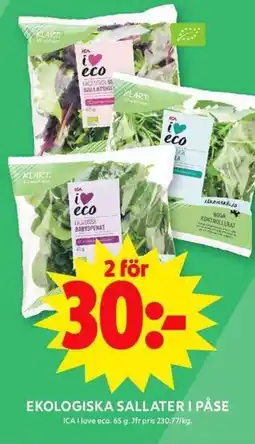 ICA Maxi ICA Ekologiska sallater i påse erbjuda