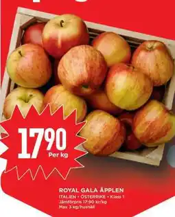 Willys Royal Gala Äpplen erbjuda