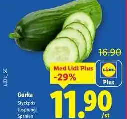Lidl Gurka erbjuda