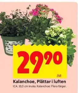 ICA Supermarket Kalanchoe, Plättar i luften erbjuda