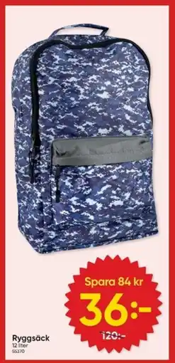 DollarStore Ryggsäck erbjuda