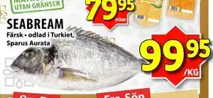 Matvärlden Tensta SEABREAM erbjuda