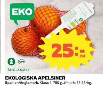 EKOLIGISKA APELSINER