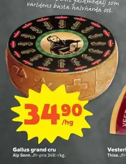 Stora Coop Gallus grand cru erbjuda