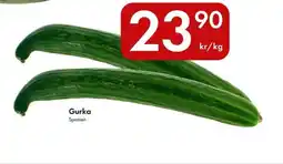 Snabbgross Gurka Spanien. erbjuda