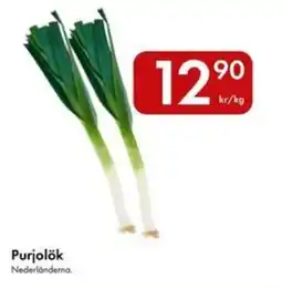 Snabbgross Purjolök erbjuda