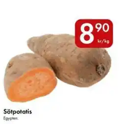Snabbgross Sötpotatis erbjuda