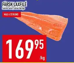 Matdax Färsk laxfilé erbjuda
