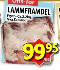 Nya Pulsen Lammframdel erbjuda