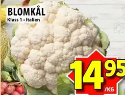 Nya Pulsen Blomkål erbjuda
