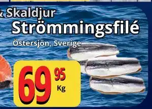 Supergrossen Strömmingsfilé erbjuda
