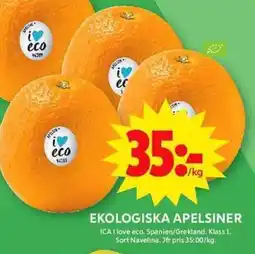 ICA Maxi ICA Ekologiska apelsiner erbjuda