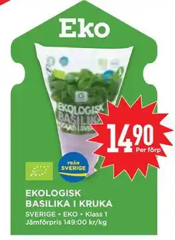 Willys Hemma EKOLOGISK BASILIKA I KRUKA erbjuda