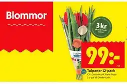 ICA Kvantum Tulpaner 12-pack erbjuda