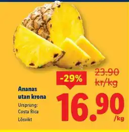 Lidl Ananas utan krona erbjuda