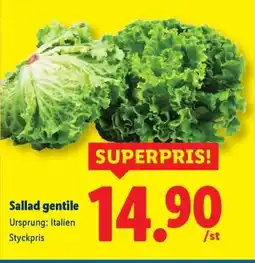 Lidl Sallad gentile erbjuda