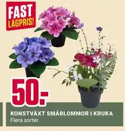 ÖoB KONSTVÄXT SMÅBLOMMOR I KRUKA erbjuda