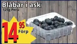Supergrossen Blåbär i ask erbjuda