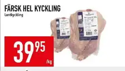 Matdax Färsk hel kyckling erbjuda