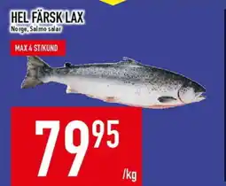 Matdax Hel färsk lax erbjuda